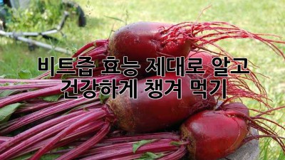 비트즙 효능 제대로 알고 건강하게 챙겨 먹기! 💖