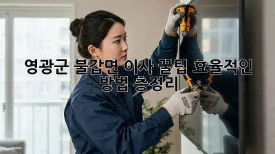 영광군 불갑면 이사 꿀팁🍯 효율적인 방법 총정리!